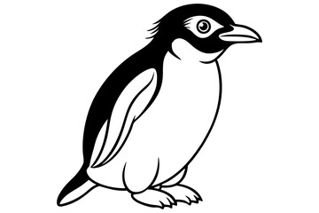 Rockhopper Sketch Vector
