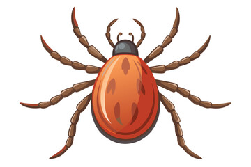 Illustration of tick animal on white.