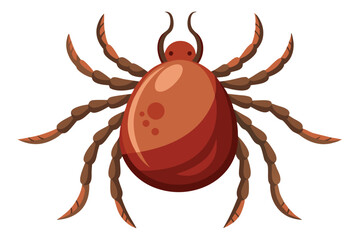 Illustration of tick animal on white.