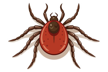Illustration of tick animal on white.