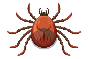 Illustration of tick animal on white.