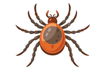 Illustration of tick animal on white.