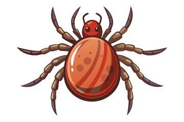 Illustration of tick animal on white.