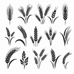  very simple flat and single minimalist Wheat Silhouettes in black on a white background 