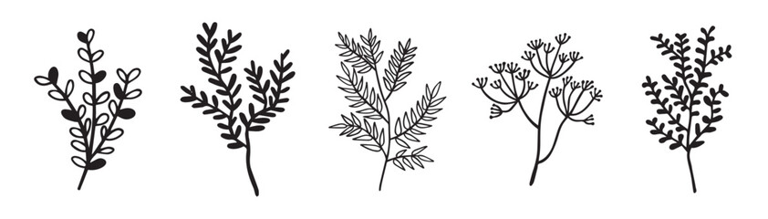 Botanic set of detailed various flowers and brunch. Luxury vintage floral collection for wedding invitation, wallpaper art or save the date card. Botanical vector illustration