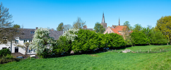 blue sky and spring blossoms at wijk bij duurstede in the netherlands