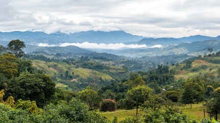 Obraz premium A beautiful panoramic view of green landscape and rolling hills