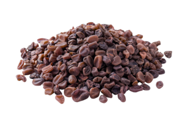 Close up of a pile of cacao beans ready for processing in a local workshop in the tropics during harvest season