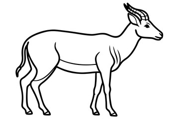 Saiga Antelope Outline Art