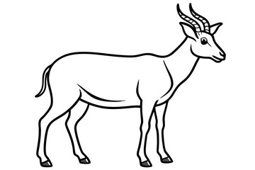 Saiga Antelope Outline Art