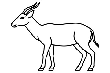 Saiga Antelope Outline Art