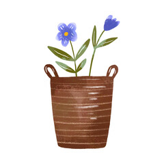 Garden wooden basket and big flowers. Flowers. Farm and work on the land. Watercolor hand drawn picture