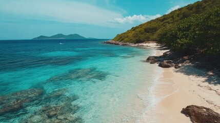 Fototapeta premium Tropical Beach with Clear Turquoise Water