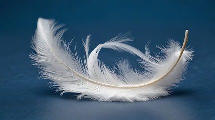 White Feather on Blue Background