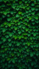 Green leaf wall texture background. Nature view of green plants. Environmental freshness wallpaper concept, vector style. White tone