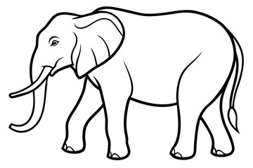 Fototapeta premium Simple Elephant Line Design