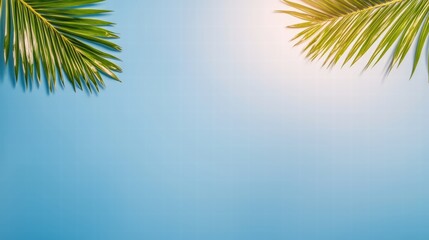 Fototapeta premium Majestic palm tree standing tall against a clear blue sky creating a tropical paradise vibe