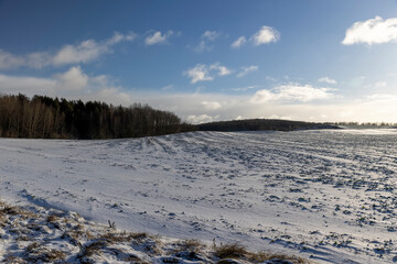 an agricultural field in winter, cloudy weather, landscape photography