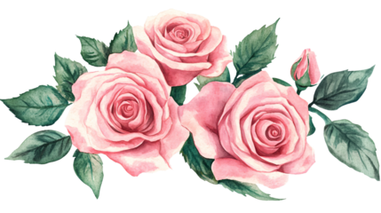 Elegant Pink Roses Bouquet on White Background, Watercolor Style