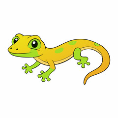 frog on white background