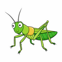 green grasshopper isolated on white background