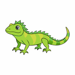 green lizard isolated on white