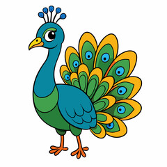 peacock vector illustration