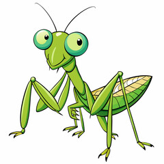 green grasshopper isolated on white