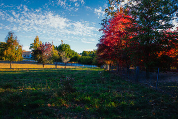 This place is absolutely beautiful during autumn, when the golden poplar trees are at their peak. It’s a peaceful and photogenic location so it’s great for a weekend road trip. 