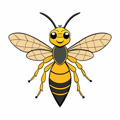 bee vector illustration