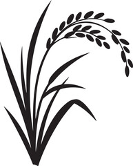 Black Silhouette of Rice Plant with Grains