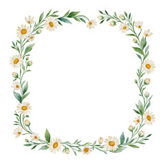 Vintage Daisy Flowers Frame Decoration Isolated Hand Drawn Watercolor Painting Illustration