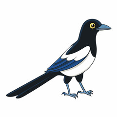 Fototapeta premium crow on a branch