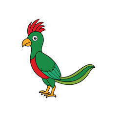 parrot on white background