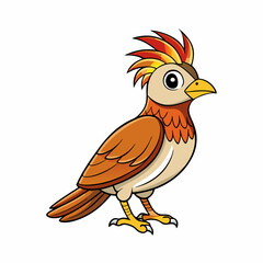 bird of paradise