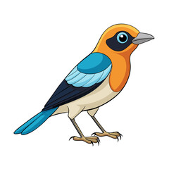 blue bird on a branch