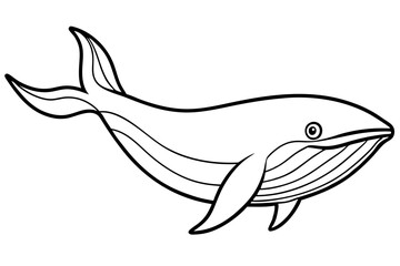 Simple Whale Sketch Vector