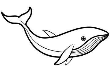 Simple Whale Sketch Vector