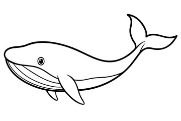 Simple Whale Sketch Vector