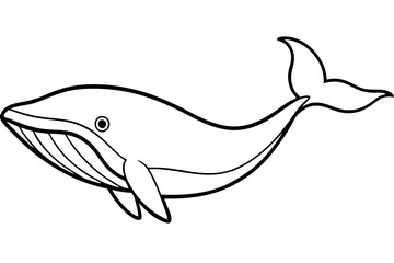 Simple Whale Sketch Vector