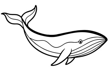 Simple Whale Sketch Vector