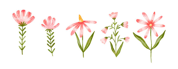 Hand drawn red wildflowers. Field springtime blossom flowers on isolated background. Summer petal set