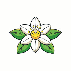 yellow flower isolated on white