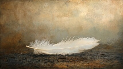 Delicate feather on rustic surface
