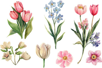 Fototapeta premium bouquet of tulips