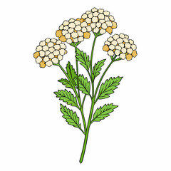 bouquet of yellow flowers