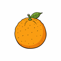 vector illustration of an orange