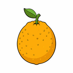 vector illustration of an orange fruit