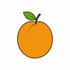 vector illustration of orange fruit