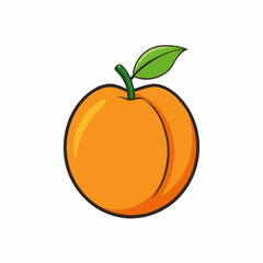 vector illustration of an orange